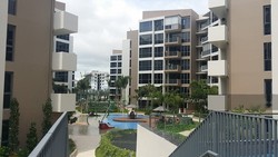 Palm Isles (D17), Condominium #204463481